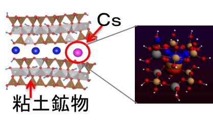 ccse-2